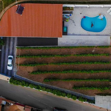 Casinha Das Bonecas - Casa Com Piscina Privada Aveiro Exteriör bild