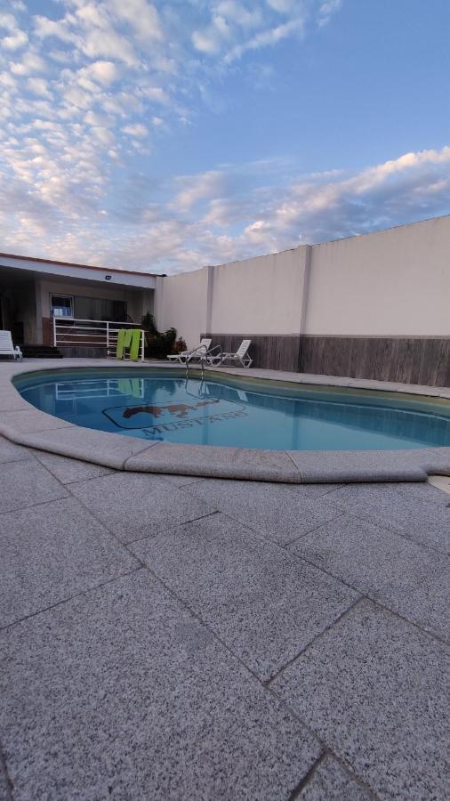 Casinha Das Bonecas - Casa Com Piscina Privada Aveiro Exteriör bild